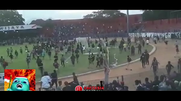 Budaya Baku Hantam Ala Suporter Indonesia: Brutalitas dan Gairah di Tribun Stadion