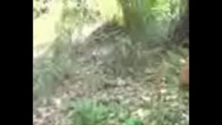Video Panas India 3GP