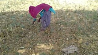 देसी लड़के ने खेत में काम करती हुई अपनी बेवफा प्रेमिका को जबरदस्त चोदा