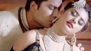 Asal-Usul Sensual Zid: Film Pendek Hindi yang Menggoda (2020)