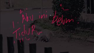 Gak bisa tidur, pengen dikentot