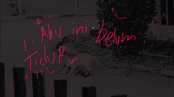 Gak bisa tidur, pengen dikentot